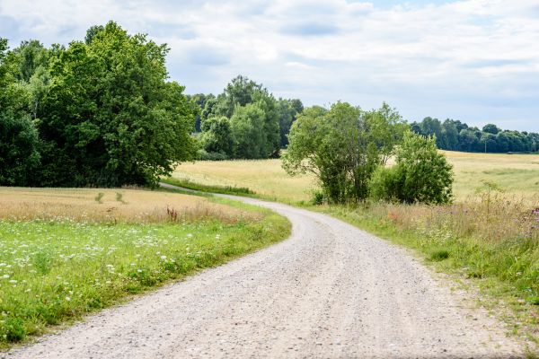 Stone Driveway Repair in Hamilton