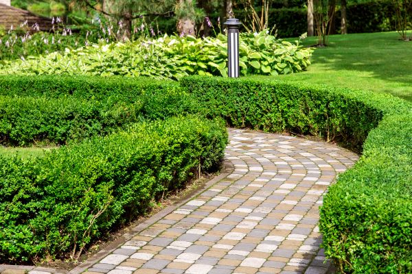 Paved Landscaping in Hamilton