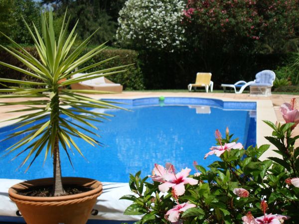 Pool Terrace Renovation in Hamilton