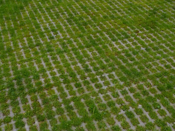 Permeable Pavement Service in Hamilton